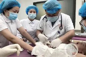 8岁女孩一天呕吐十几次 医生：快让她哥哥去做头颅磁共振图片