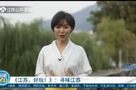 美食地图带你“寻味江苏”！扬州趣园八珍糕，南北融合别具特色视频封面