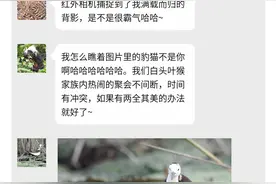 秘境之眼 | 十一假期怎么过？瞧，动物们正在热火朝天地商量呢→图片