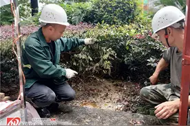 怀化城事｜夜宵摊火了，绿化带惨了图片