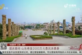 拼手速的时刻到了！国庆期间，山东将发2000万元惠民消费券视频封面