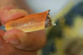 4 斤清水大闸蟹，熬成一盒蟹粉有多香？图片