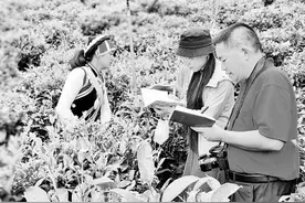 云南：幸福都是奋斗出来的图片