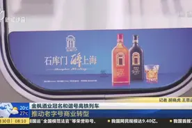 金枫酒业冠名和谐号高铁列车：推动老字号商业转型视频封面