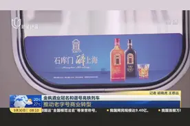 金枫酒业冠名和谐号高铁列车：推动老字号商业转型视频封面