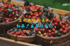 不辞长作岭南人 细品广东荔枝文化图片