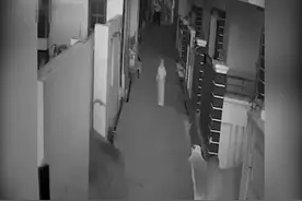 印度一70岁老人遭公牛袭击 在孙子和路人帮助下逃脱图片