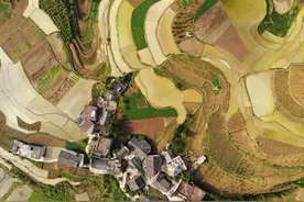 在触摸乡村中收获一份家国情怀图片