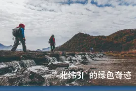 神农架国家公园 北纬31°的绿色奇迹图片