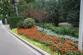 郑州市碧沙岗公园装扮一新迎双节图片