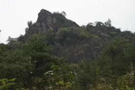 一年夯基础 两年扭局面 三年控疫情 永康市争创省松材线虫病综治示范市图片