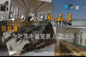 「新华书画·收藏家」刘益谦：为叶茂中做策展人 此生头一回图片