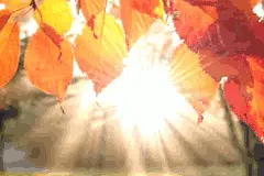 “十一”义乌旅行地图 | 来一场说走就走的旅行！图片