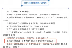 2020网络扶贫十大案例 贝店电商助农成效显著图片