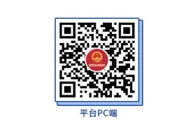 全国一体化政务服务平台助力政务服务“跨省通办”图片
