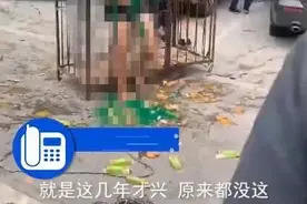 新郎被关进笼子泼绿漆：低俗婚闹何时休？图片