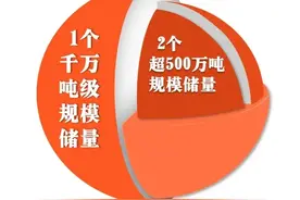 相当于新发现一个中型油田！胜利油田新增探明石油地质储3100万吨图片