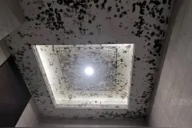 密密麻麻，触目惊心！海曙这2个楼盘什么情况？图片