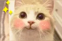 黄石这里有大动作！10万＋人涌入…图片