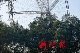 摩天轮还在！今起，文化公园免费开放图片