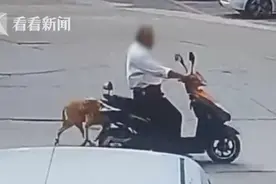 光天化日偷狗卖给饭店 主人找到时爱犬已在冰柜图片