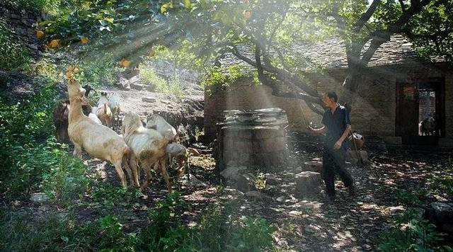 假期推荐｜枣庄山亭私藏旅游线路全攻略来了，玩转山亭