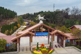 康体游好去处！济南这个天然氧吧免费开放图片