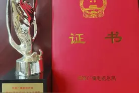 《阳光下的法庭》获第32届电视剧飞天奖优秀电视剧提名奖图片