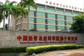 如何辨别槟榔种苗好坏？如何实现槟榔增产？看看专家怎么说…图片