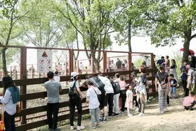 长假第一天：浙江有三个景区“满员”，雷峰塔等景区呈现红色“限流”图片