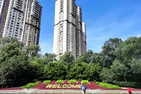 中山公园的百年故事......图片