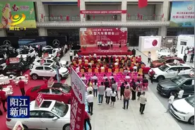 2020首场大型车展今天在阳江国际会展中心开幕图片