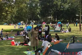 沸腾啦！武汉多个景区游客量同比倍增图片