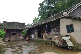 离题｜写在《刺死霸凌者》外：霸凌没有消失，真相归于沉默图片