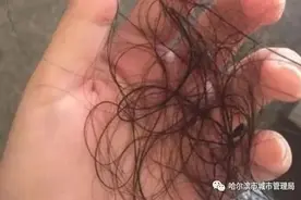 垃圾分类 | 掉落的头发是什么垃圾？图片