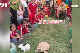 视频为证！书里龟兔赛跑的寓言竟是真的视频封面