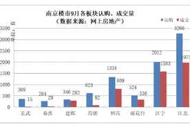南京9月卖房5616套环比大跌28%
10月还有40盘待入市图片