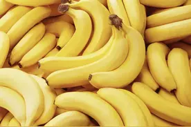 全球变暖将导致30年后香蕉完全消失？丨谣言粉碎机图片