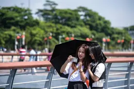 假日漫步深圳湾图片