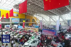 阳江：高颜值车型点燃车展观车潮图片