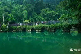 贵州行 | 荔波小七孔，以碧绿为眸图片