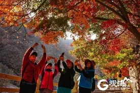 错峰预约文明游 青岛免门票景区最强预约攻略来啦图片