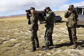 野保专家首次在三江源地区发现罕见藏棕熊图片