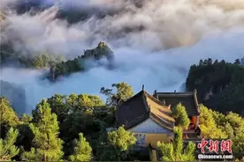 何必非去日本看鹿？来这没准还能偶遇“崆峒派弟子”图片
