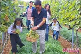 旅游+农业！这场烟台“欢乐农场行”太有料图片