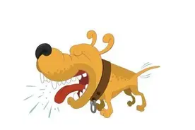 科学预防狂犬病，保护生命健康图片
