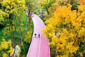 一路骑行一路美景！成都高新绿道骑行线路推荐→图片