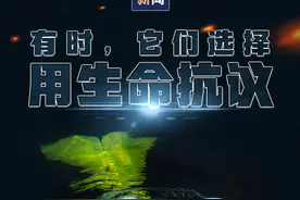 这个假期，请远离这类表演图片