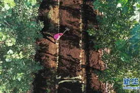 河北滦州：特色农业拓宽增收路图片