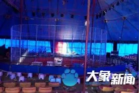 马戏团驯兽师回应被黑熊咬数分钟：没牙 从小就锯掉了图片